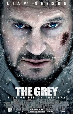The Grey (خاکستری)